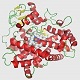 CYP2 D6